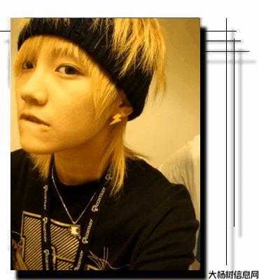 最耐击天龙职业，你选谁？ 第2张