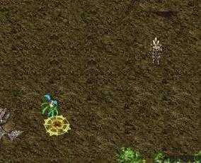 惊人威力！私服道士召唤月灵 第2张