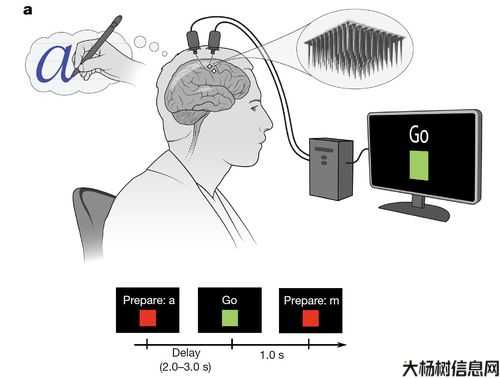 紫GP卡位再现，惊呆你的大脑！ 第1张