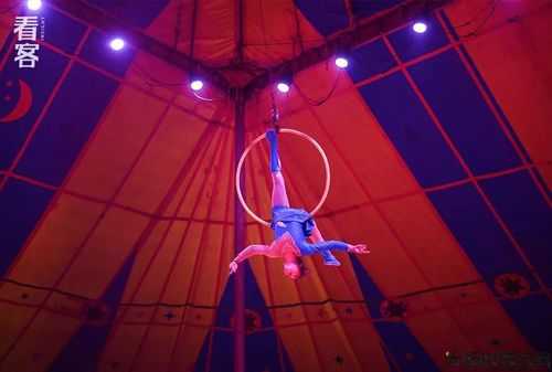 江湖马戏团：挑战极限 第1张