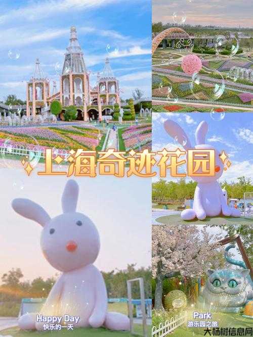 奇迹花园完美路线图 第2张