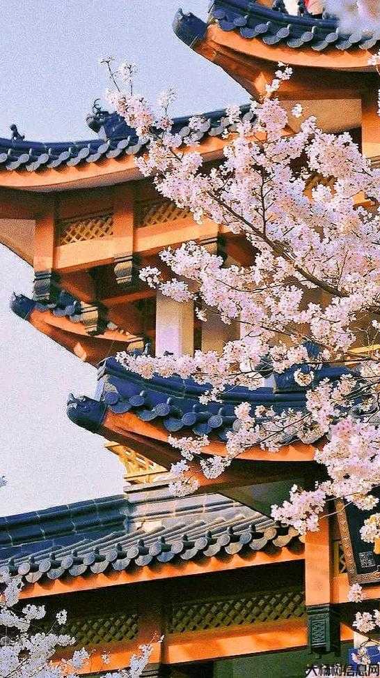 名灵——一个汇集古风道系名灵感的地方 第2张