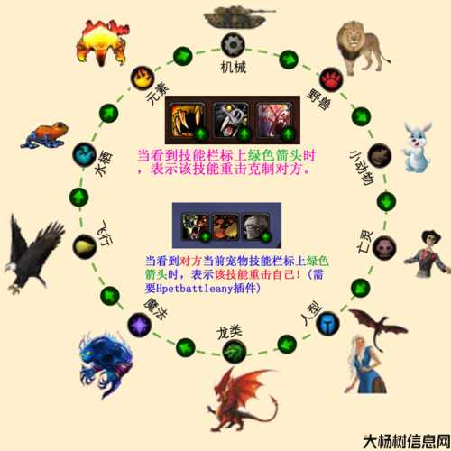 获取宠物技能石的途径不超过30种。 第2张