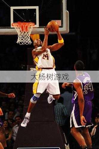 传奇sf科比的职业视频-职业SF传奇:科比视频全纪录