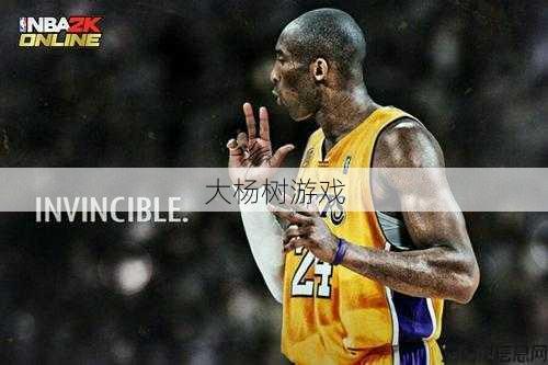 传奇sf科比的职业视频-职业SF传奇:科比视频全纪录 第2张 传奇sf科比的职业视频-职业SF传奇:科比视频全纪录 第2张