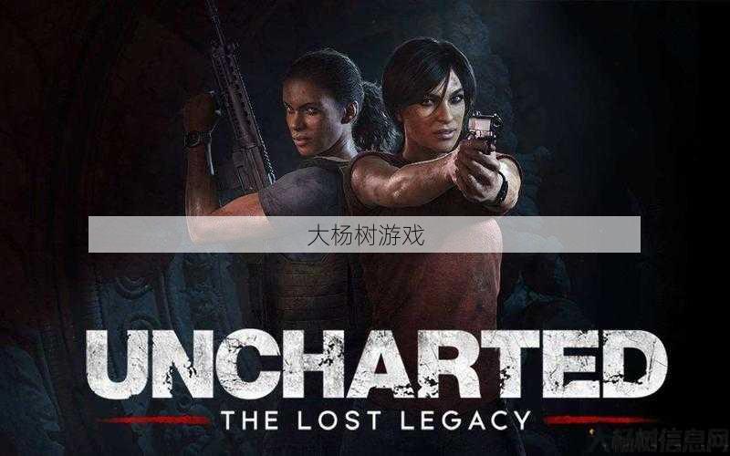 探索完美国际：棺椟之地的神秘与冒险 第2张