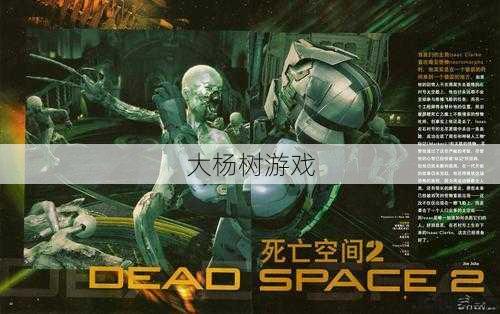 探索完美国际：棺椟之地的神秘与冒险 第1张