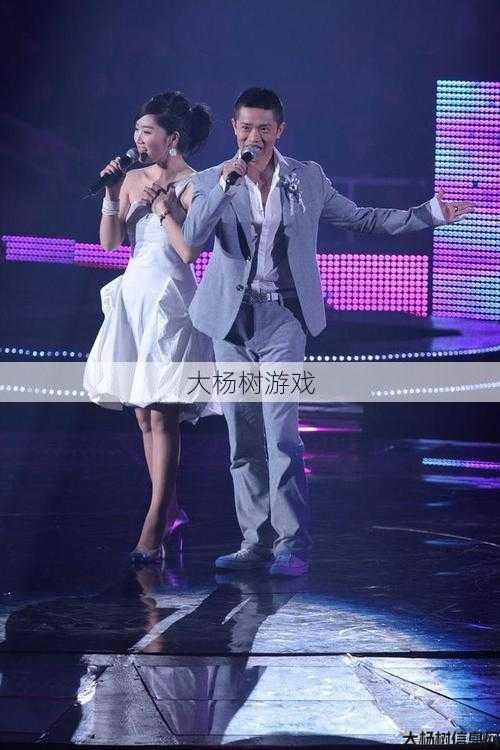 民族风韵，凤凰传奇的音乐之旅 第2张