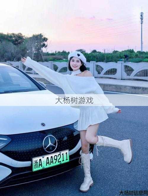 9211传奇sf霸业职业定位-9211传奇sf：霸业职业定位解析