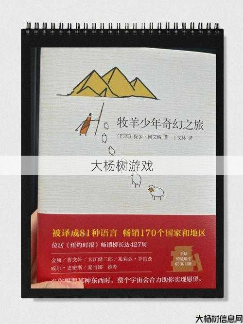 探索完美国际：十一星龙珠的奇幻冒险之旅 第2张