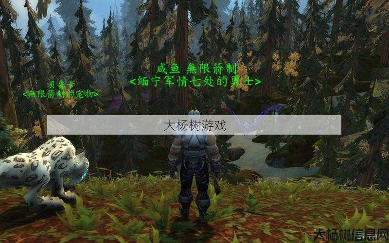魔兽世界私服丰富耐玩:新的魔兽世界猎人攻略，猎人入门：掌握魔兽世界野兽王国！ 第1张