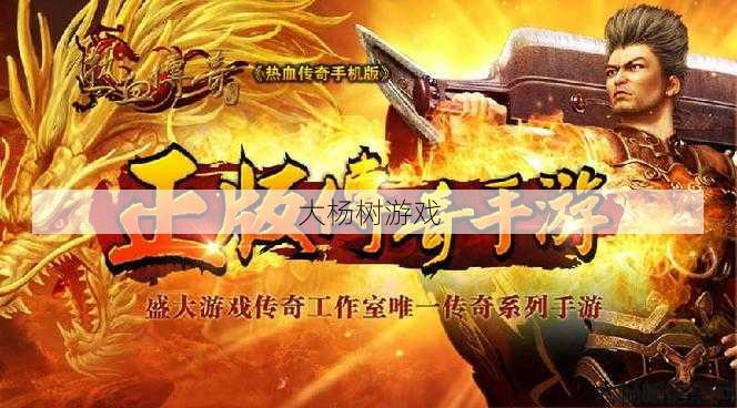 热血传世私服,经验:探索传世手游高爆版：享受刺激战斗和丰富游戏 第2张
