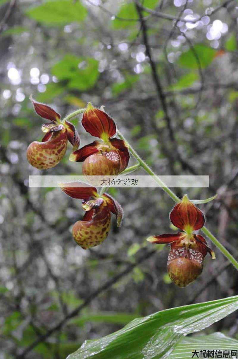 奇迹MUsf,大揭秘:奇迹mu850级到900级经验表，「MU」8-900级升级经验表 第2张