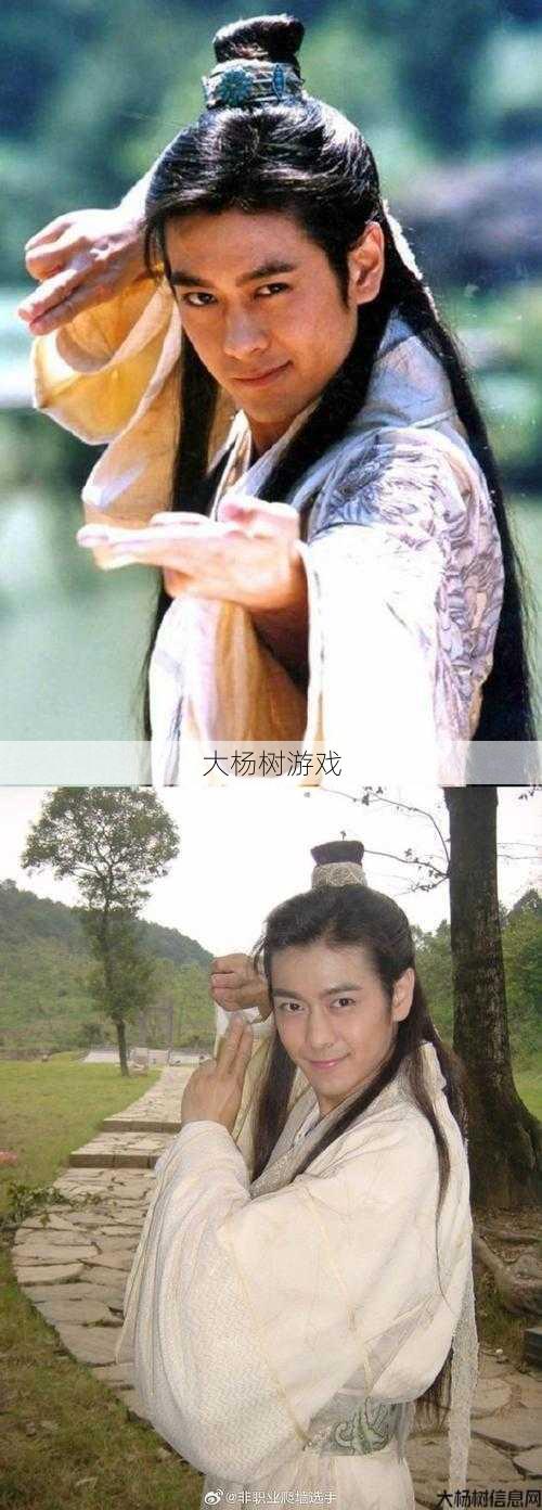 天龙sf,深度揭秘:林志颖在天龙八部的职业生涯中扮演谁？ 第1张