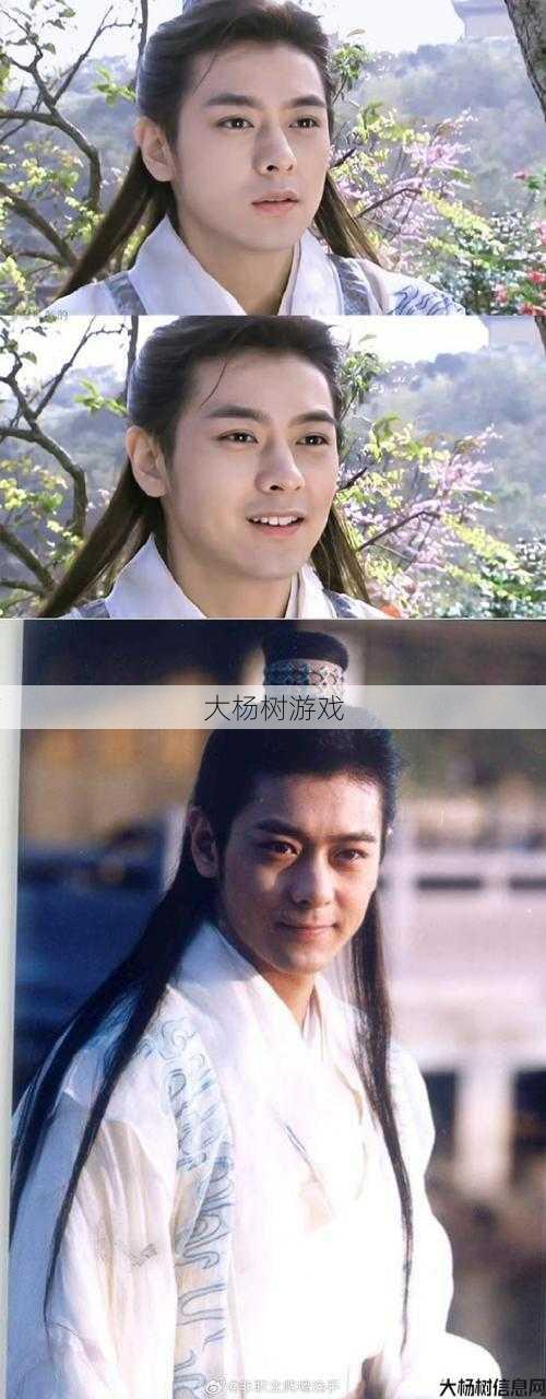 天龙sf,深度揭秘:林志颖在天龙八部的职业生涯中扮演谁？ 第2张