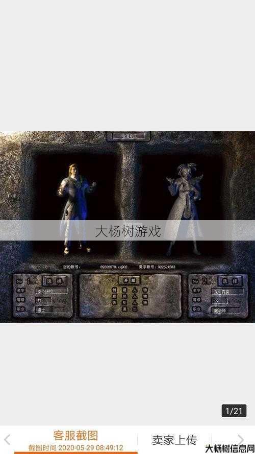 热血传世私服,大评测:传世法师道士组合技术：双职业搭配策略 第1张