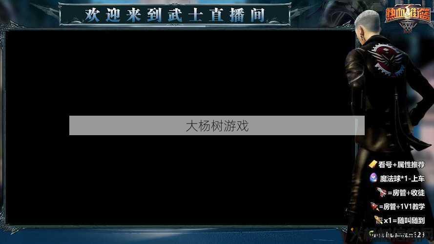 传世私服大秘籍:打造个性化游戏直播边框：技能与创造力 第2张