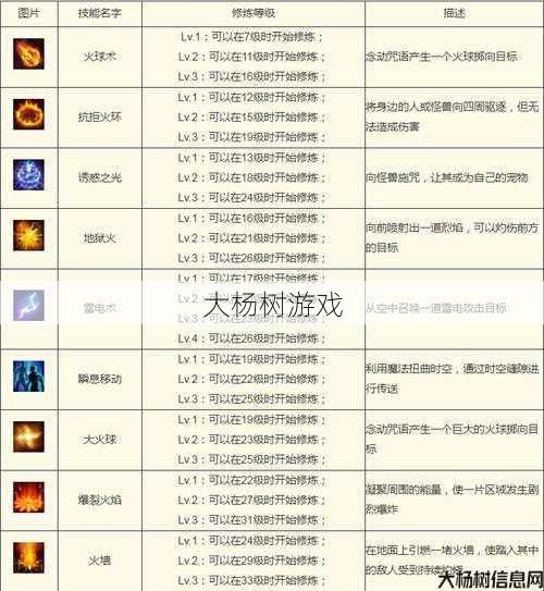 传世技能等级全解析：玩家成长攻略 第2张