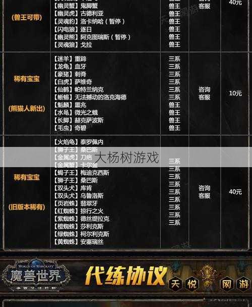 魔兽世界满级号玩法攻略,玩转魔兽世界满级账号的秘诀! 第1张