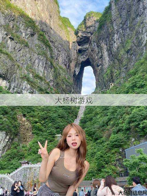 完美国际:摸索YJ宠物的奇异世界与适用攻略 第1张 完美国际:摸索YJ宠物的奇异世界与适用攻略 第1张