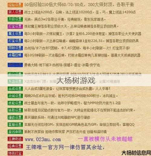 传世私服新手秘籍:《探索传世游戏：深入解析与技巧分享》 第1张