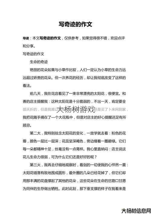 奇迹 一转,从奇迹到意外——一个令人惊喜的转变 第1张