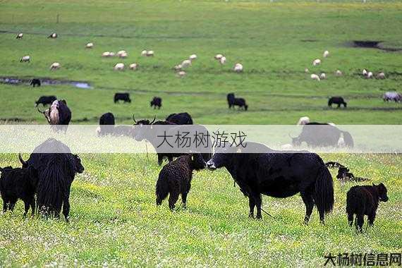 奇幻草原：牧狂野 第2张