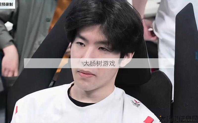 theshy职业传奇sf-重渡暴龙TheShy神话传奇再现) 第2张