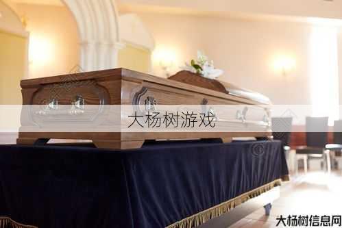 天使之柩,天使棺材 第1张