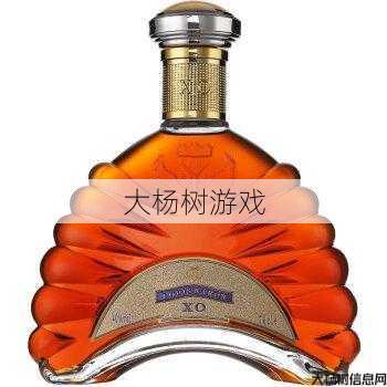 传世XO白兰地：价格与品质的完美平衡 第1张