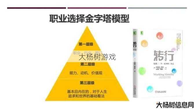 “探索完美国际：揭秘最佳职业选择策略”