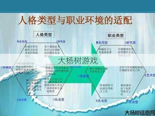 “探索完美国际：揭秘最佳职业选择策略” 第2张