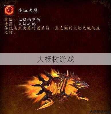 魔兽世界火羽坐骑攻略,千万不要错过！玩家必须知道的火羽坐骑攻略! 第2张