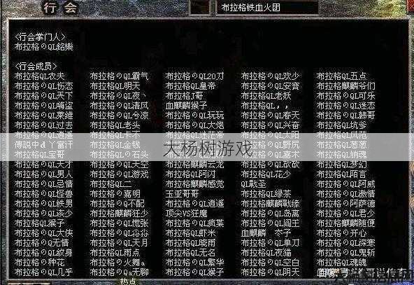 传奇私服深度秘籍 - 传奇法师:霸气少年的名字