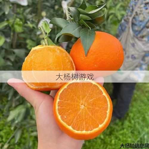 大橙子真名曝光 第1张