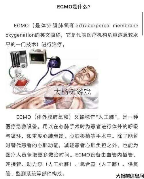 医学奇迹：挽救濒死病人的新技术 第1张