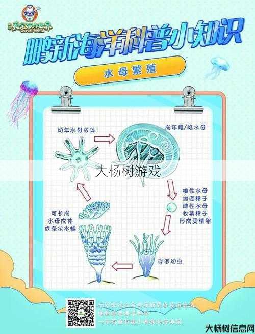 魔兽世界水母合成攻略大全,水母合成攻略完全指南! 第1张
