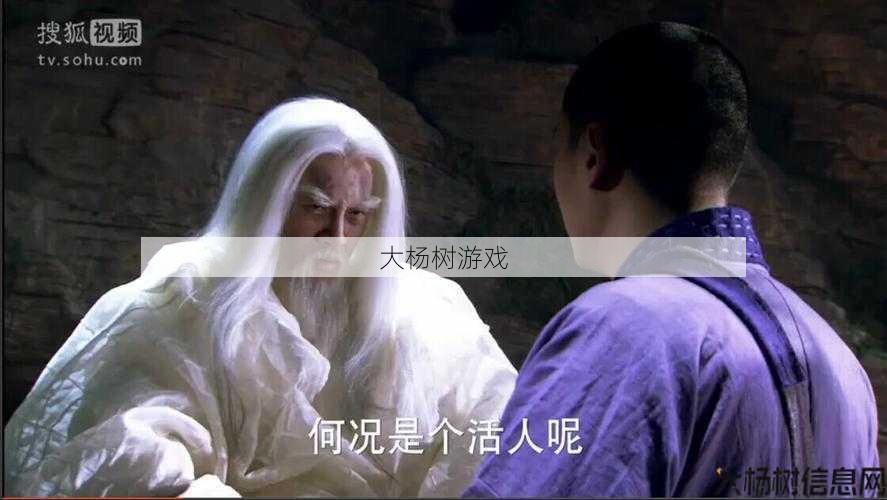 天龙八部无崖子和逍遥子 第2张