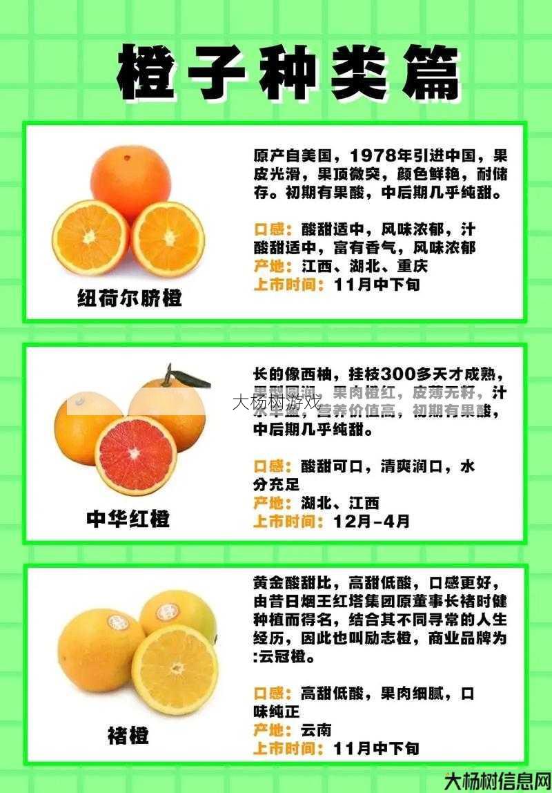 奇迹私服魅力与感悟 - 主播大橙子简介 第2张 奇迹私服魅力与感悟 - 主播大橙子简介 第2张