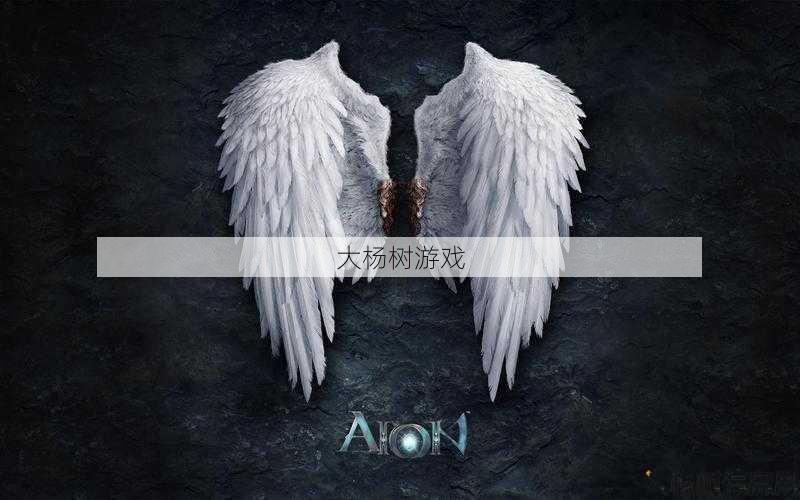 天使之翼pc游戏叫什么,天使翅膀：PC游戏 第2张