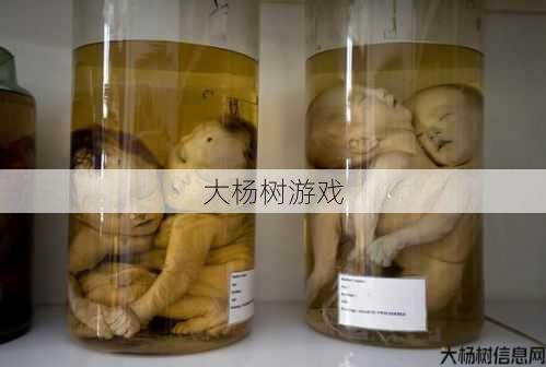 后的：医学案例中的惊奇奇迹 第2张