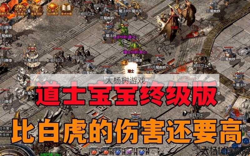 传奇私服道士宝宝升级大变化