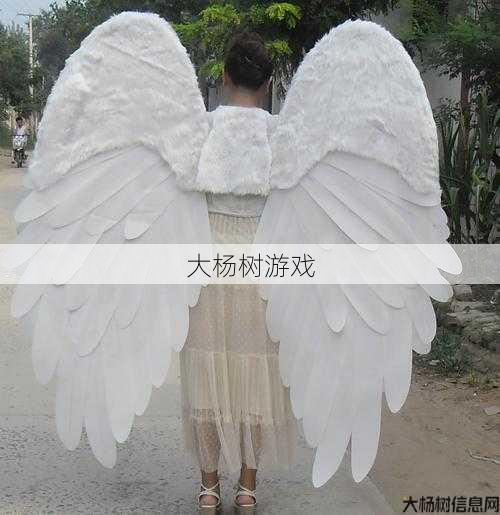 分享高清七代私服翅膀照片 第1张