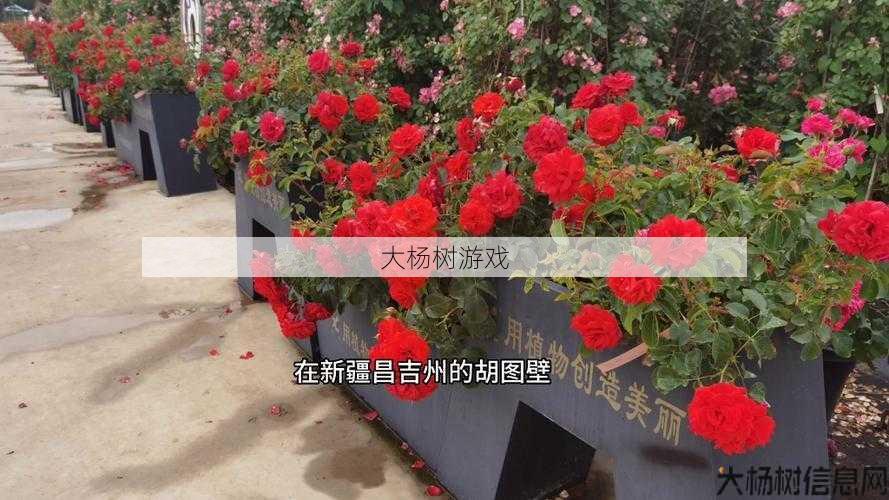 全民奇迹2猩红腰带,全新进阶装备——猩红腰带 第1张 全民奇迹2猩红腰带,全新进阶装备——猩红腰带 第1张