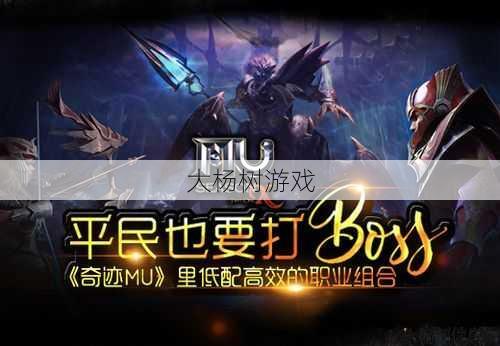 奇迹MU最佳职业组合分享 第2张