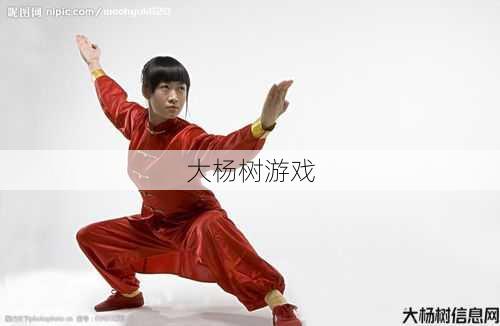 观看完美国际5.0武术分享方法 第2张