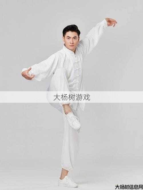 观看完美国际5.0武术分享方法 第1张