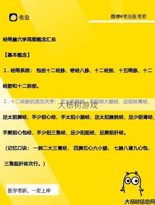 高效掌握《朱仙输出技能指南》 第1张 高效掌握《朱仙输出技能指南》 第1张