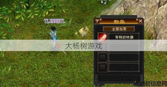 天龙私服小白经验_天龙八部新职业 第2张