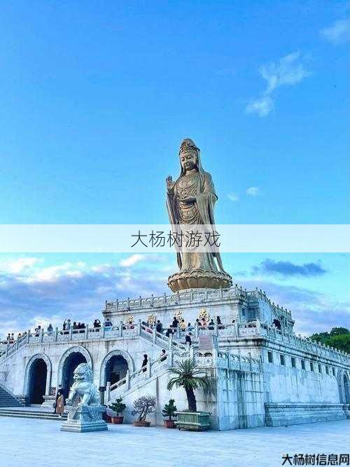 用这个技能秒杀普陀！- SEO编辑带你去探索普陀山攻略 第2张